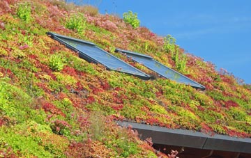 Bickleywood living roof systems
