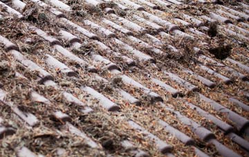 Bickleywood roof cleaning companies